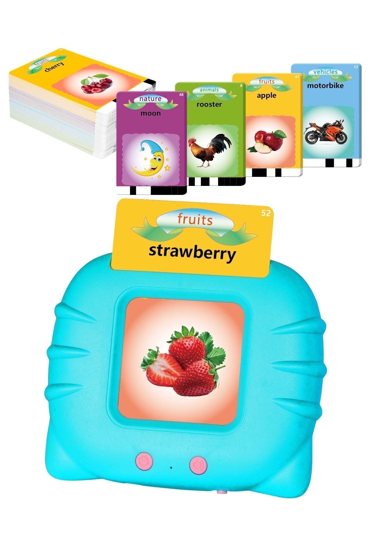 Cozy babe ™ İngilizce Öğrenim Kartları